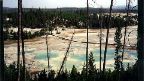 Norris Geyser Basin