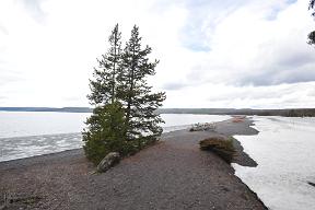 DSC 2610