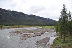 DSC 3706
