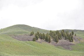 DSC 3721