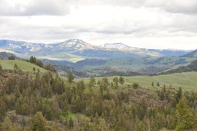 DSC 3788