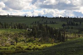 DSC 3820
