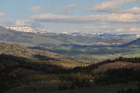DSC 4053