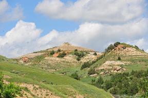 DSC 4527