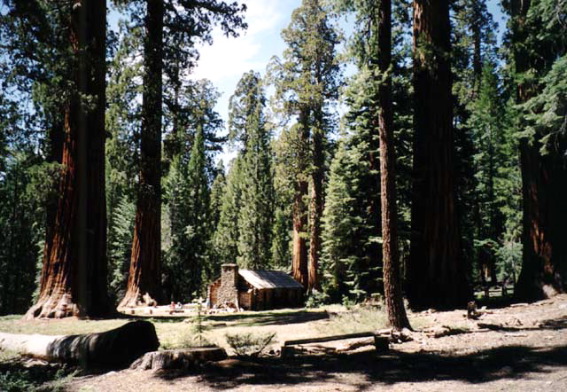 Yosemite National Park Mariposa Grove Cabin Photo