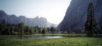 Yosemite Meadow