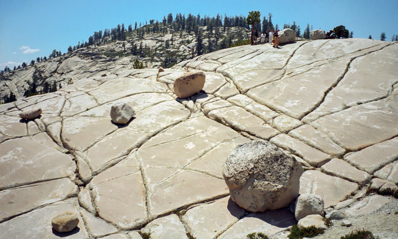 Yosemite National Park Olmsted Point Photo