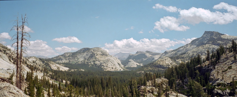 Yosemite National Park Olmsted Point Photo