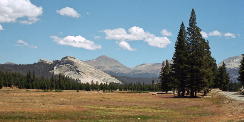 Yosemite National Park Tuolumne Meadows Photo