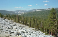Tioga Road