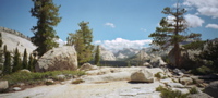 Olmsted Point