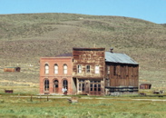 Bodie