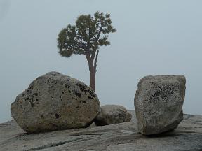 P1020195
