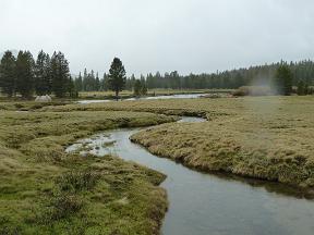 P1020219